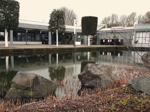 IHK Biodiversität bei der Firma Gartenhof Küsters #GewerbestandortDerZukunft