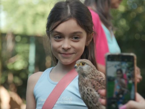 MGMG Ritterfest 2023 Mönchengladbach