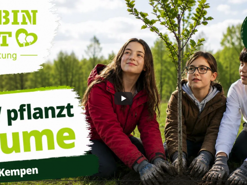 Robin Gut Stiftung Kempen